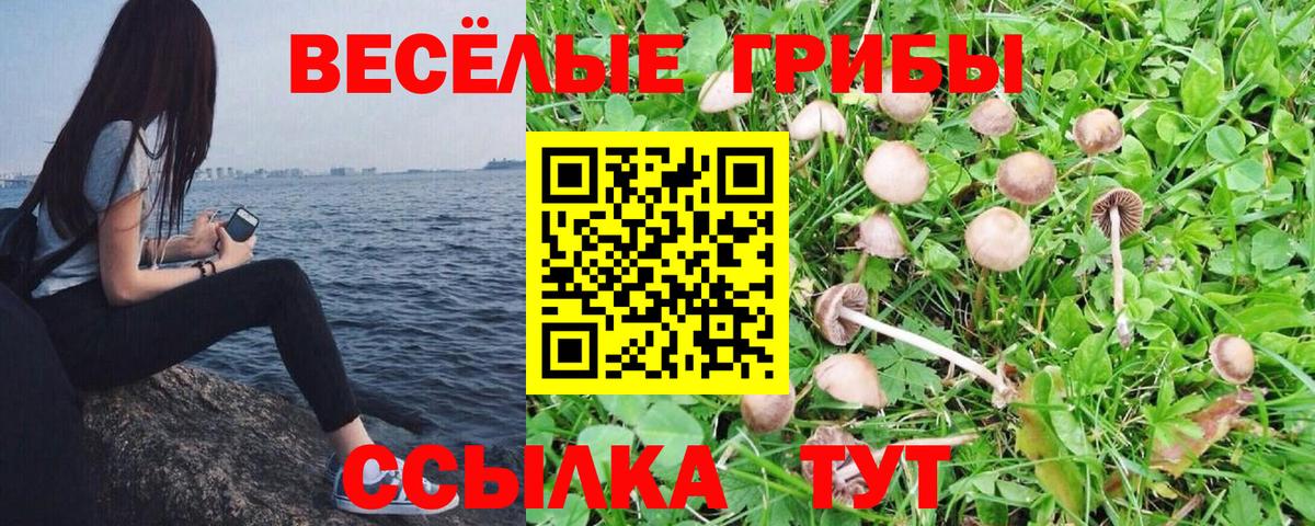 Галлюциногенные грибы Magic Shrooms Красноуфимск