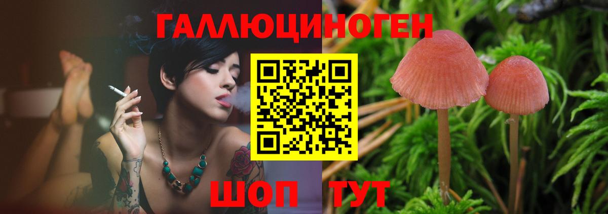 купить закладку  Галлюциногенные грибы Psilocybine cubensis  Вход с VPN  Красноуфимск  Галлюциногенные грибы MAGIC MUSHROOMS 