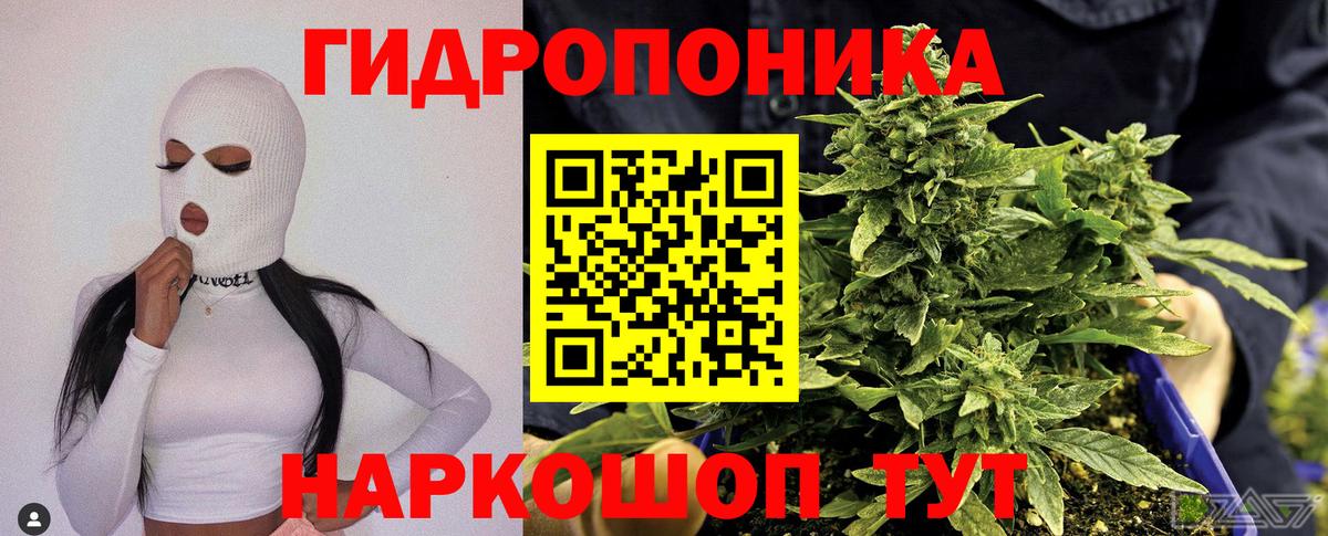 Конопля семена  Бошки Шишки White Widow  МАРИХУАНА OG Kush  Вход с VPN  Красноуфимск 